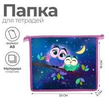 Folder for notebooks A5, 230 x 190 x 50 mm, lightning from above, plastic, calligrata 