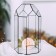 Florarium "greenhouse" (silver seams)