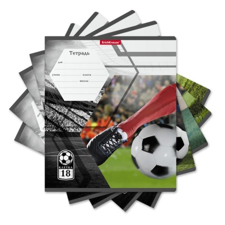 Notebook of 18 sheets in the Erichkrause Dribbling cage, cover coated cardboard, offset block, mix-1