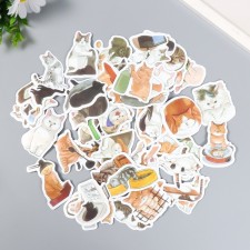 A set of stickers 