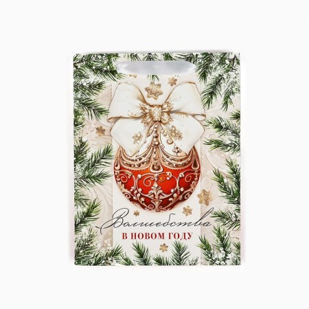 Package Gift New Year Laminated "Magic in the New Year", MS 18 x 23 x 10 cm, New Year-4