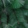 Green cedar 180 cm, D needles 10 cm, D of the lower tier 102 cm, 235 branches, metal stand
