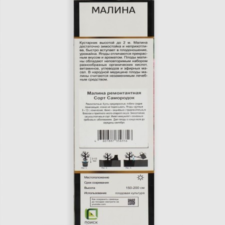 Raspberry repair varieties suite "Sugan" 1 pc, tube, spring 2025-1