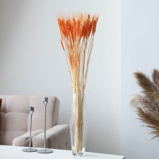 Dry wheat column, set 50 pcs., Orange color