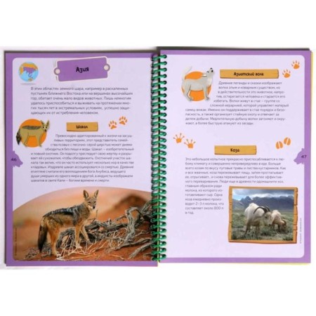 Animal planets. Children's Encyclopedia (in the box)-2