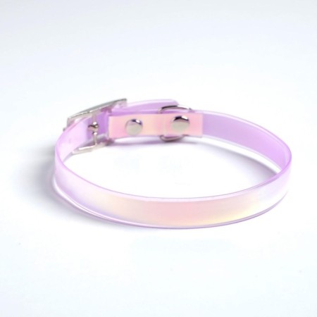 A collar for dogs and cats with Fasteks "Neon", 30 x 1 cm-2