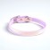 A collar for dogs and cats with Fasteks "Neon", 30 x 1 cm