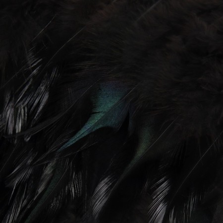 Braid with feathers of a rooster, 10-15 cm, 5 ± 0.5 m, black color-3