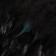 Braid with feathers of a rooster, 10-15 cm, 5 ± 0.5 m, black color