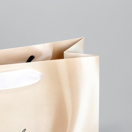 Gift package, packaging, "Present", 22 x 17.5 x 8 cm-4
