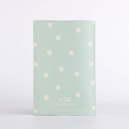 Cover for passport, mint color-2