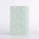 Cover for passport, mint color