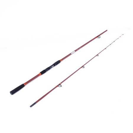 Spinning composite composite Namazu River Monster 2.7 m, test 50-200 g-1