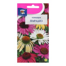 Echinacea flower seeds 