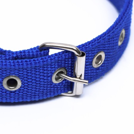 Two -layer collar with a swivel 55 x 2.5 cm, polyester, blue-2
