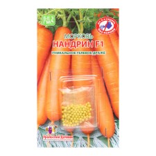 Carrots 