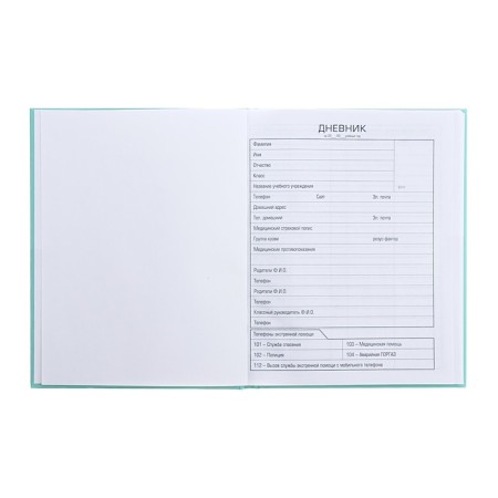 Universal diary for grades 1-11 "Bunny Mi", hard cover, glossy lamination, 40 sheets-4