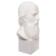 Gypsum figure famous people: Bust Saltykov-Shchedrin 20*9.5*10.5 10-195
