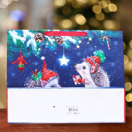 Gift package "Hedgehogs", 50 x 40 x 15 cm-1