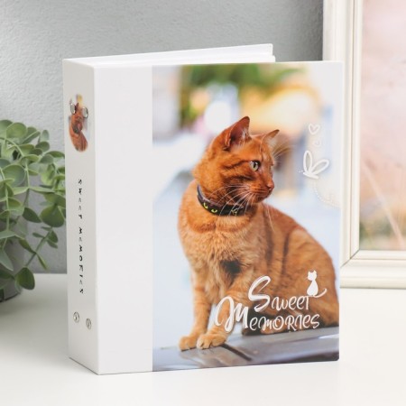 Photo album for 200 photos 10x15 cm "cats" mix-1