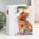 Photo album for 200 photos 10x15 cm "cats" mix