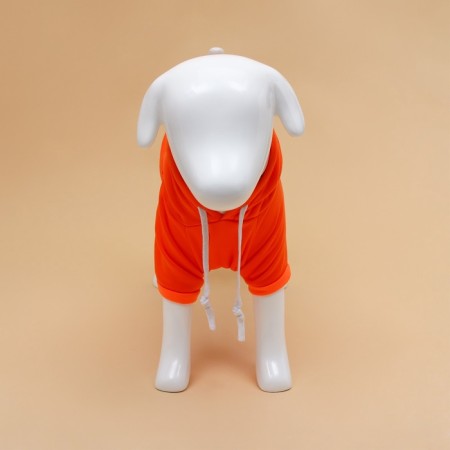 Sweep "Favorite Carrot", size XL (DS 40, OG 56 cm)-2