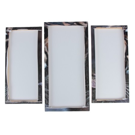 The modular picture "Tiger look" (2-25x52; 1-30x60) 60x80 cm-2