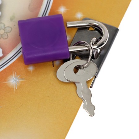 Notebook Gift Book on a lock, A5, 50 sheets, line, "Flowers/ butterflies", mix-2