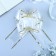 Baltic Babochka No. 7 "Golden Street", white
