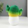 Growing gift Eco -Zhizhivchik "Cactus in a pot" mix