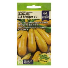 Semen zucchini 