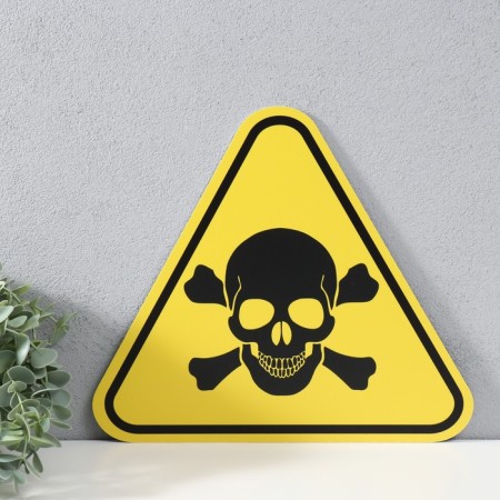 Decorative sign (poster) "skull and bones" 30x27 cm, plastic-2