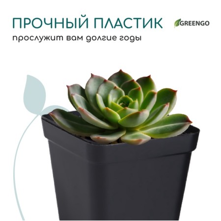 Pot for seedlings, 150 ml, d = 6.5 x 6.5 x 5.5 cm, (packaging 20 pcs.) Greengo-5
