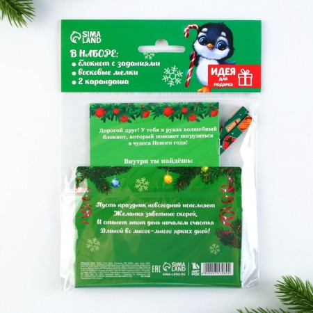 Gift New Year's set: notebook, pencils of b/g 2 pcs and wax crayons "Magic set"-21
