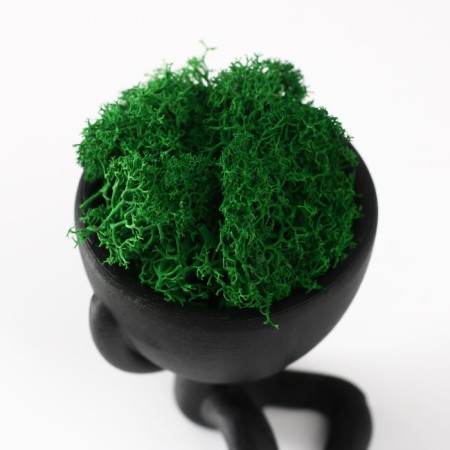 Kashpo concrete mini "Mr. Green" Ivazaru with moss black 5.5x6.5x6.5 cm (moss green stabil.)-4