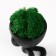 Kashpo concrete mini "Mr. Green" Ivazaru with moss black 5.5x6.5x6.5 cm (moss green stabil.)