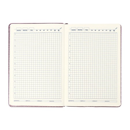 The diary is low, PVC cover, A5 format, 140 l, cell, metallic pink-11