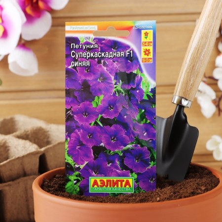 Petunia Supercam West F1 Blue, 10 pcs-6