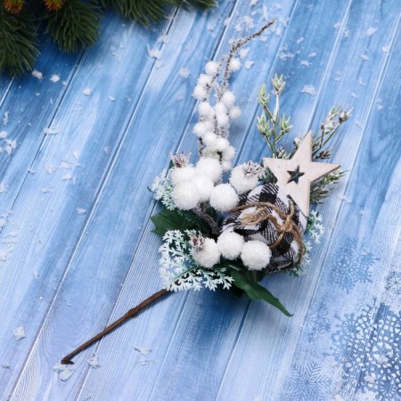 Decor "Winter Dreams" Gift to the cage Star Berries, 21 cm-2