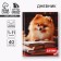 School diary for grade 1-11, in a solid cover, 40 l. "Fluff"
