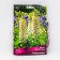 Lupine multi-leaved "Nawblemeiden", 1 pc, rr I, spring 2025