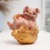 Pigger "Pig on a bag of money" 14.5cm