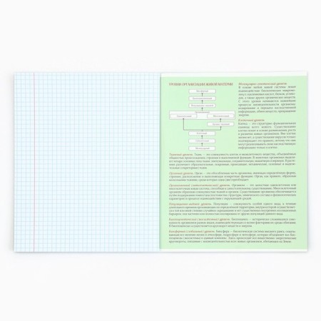 A notebook 48 sheets, A5 on the paper clip No. 1 “September 1: Anime Comic. Biology”-5