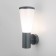 Lamp wall street Elektrostandard, Cone, 145x110x320 mm, e27, gray color gray