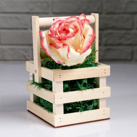 Kashpo wooden 12 × 11 × 9 cm "odnushka light", three -lane, handle, natural give beautifully