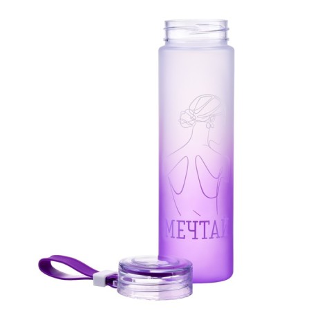 Water bottle, 460 ml, "dream"-1