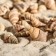 Set of shells 100 g