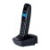 Radio Telphone Dect Panasonic KX-TG1611RUH Gray, AO
