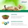 Wet feed Perfect Fit immunity for cats, turkey, spirulina, spider, 75 g