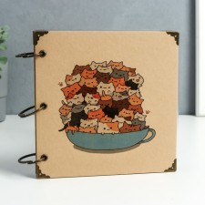 Photo album on the rings of 30 sheets 